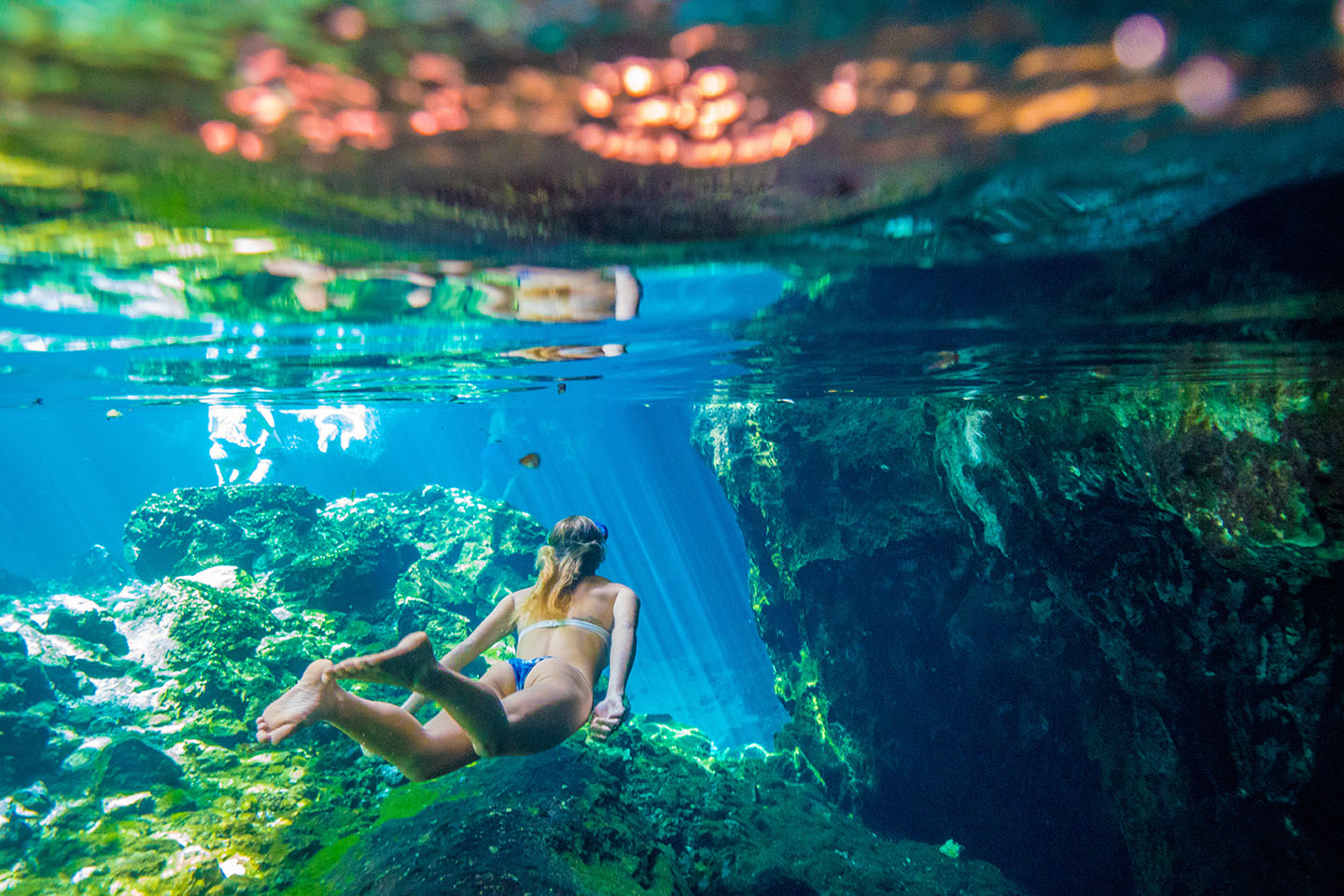 Snorkeling in a Freshwater Cenote